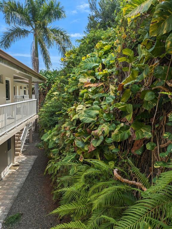 Manahau Lodge - photo 7 - Tahiti, Polynésie