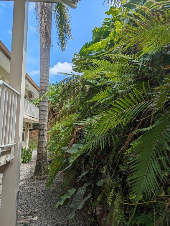 Manahau Lodge - photo 10 - Tahiti, Polynésie