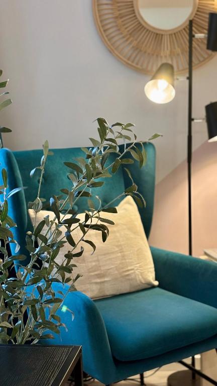 un canapé bleu avec une plante dans un salon dans l'établissement Charmant Studio Rénové - Cœur Historique de Grasse - Climatisé & Tout Confort, à Grasse