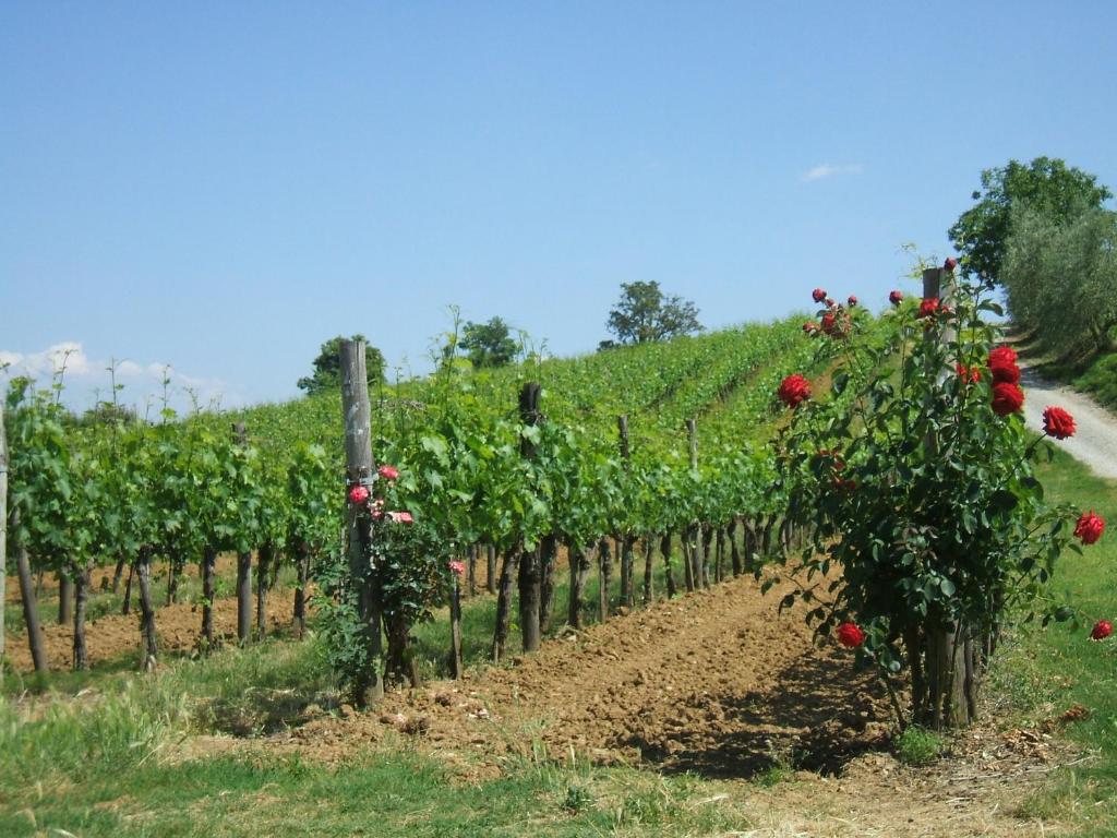 Zahrada ubytování Borgo del Molinello