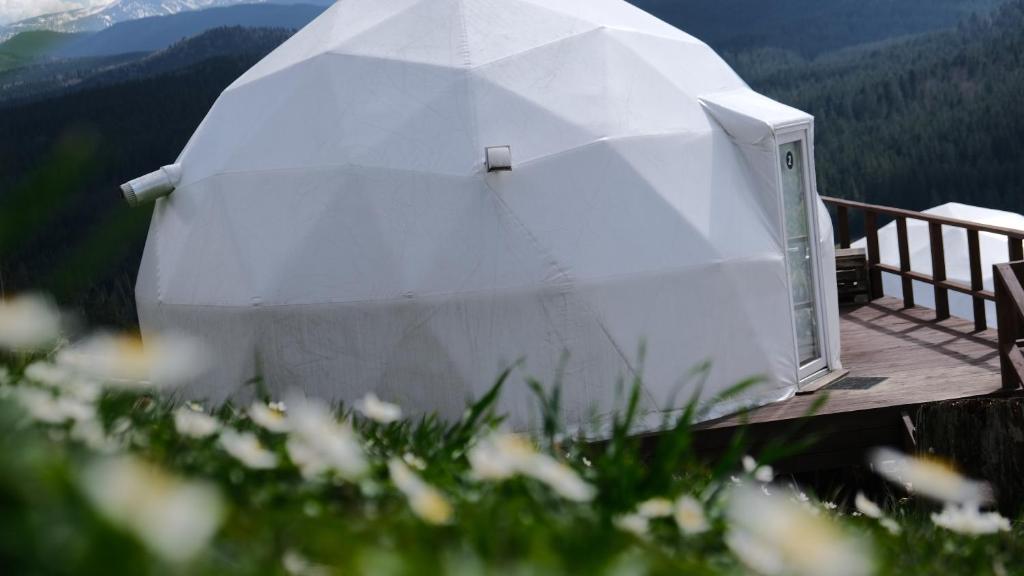 Příroda nedaleko luxury tent