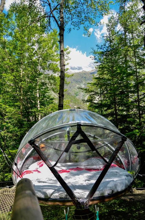 Nuit insolite bulle forêt glamping - immagine 3