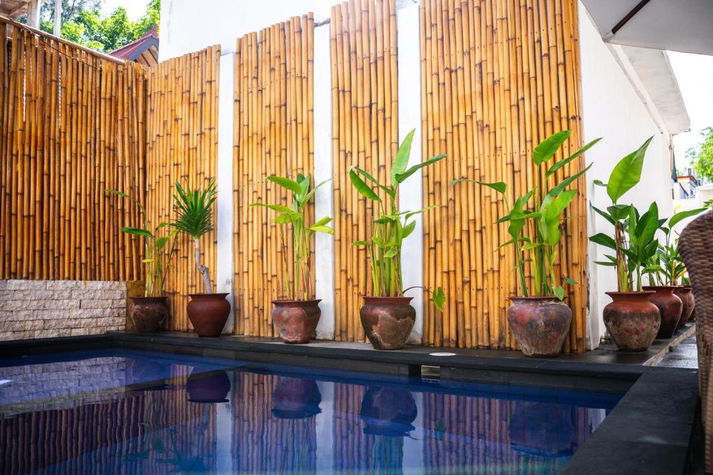 Bazén v ubytování Gili Ocean Club - ADULTS ONLY nebo v jeho okolí