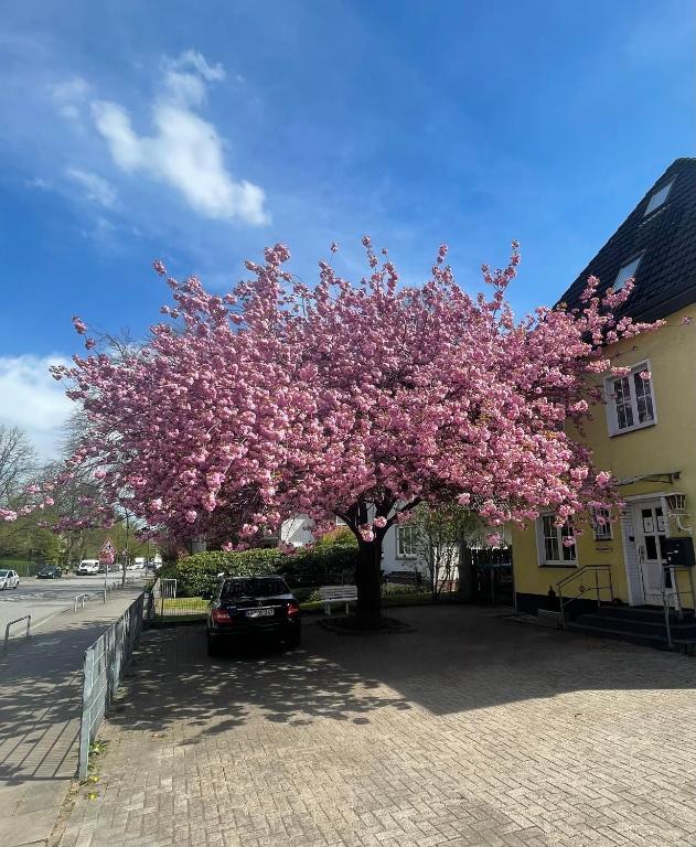 Hotel Villa Wandsbek - Resim 6