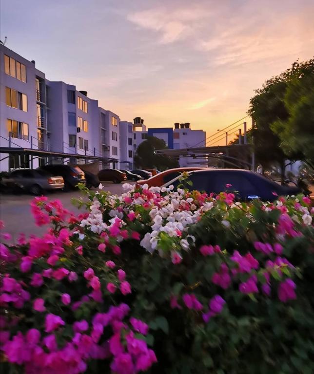 a bunch of flowers in a parking lot with a car at Apto San Francisco de Asis in Valledupar