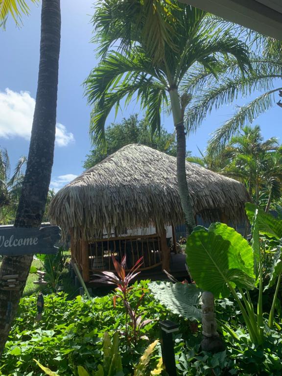 Aed väljaspool majutusasutust Tiki Ora Lodge - Tiki