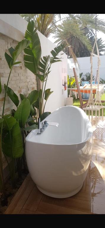 Zahrada ubytování Villa Papaya - Djerba