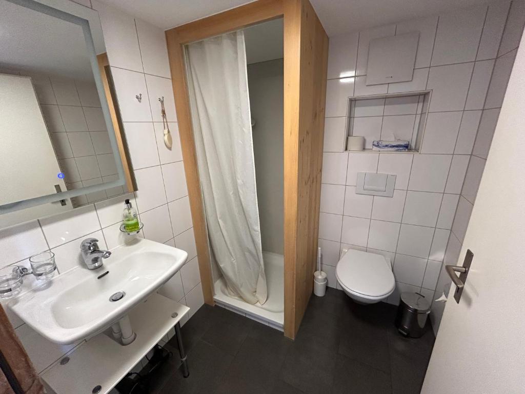 Bilik mandi di Alpenchalet Spiher-Studio und ein weiteres Schlafzimmer
