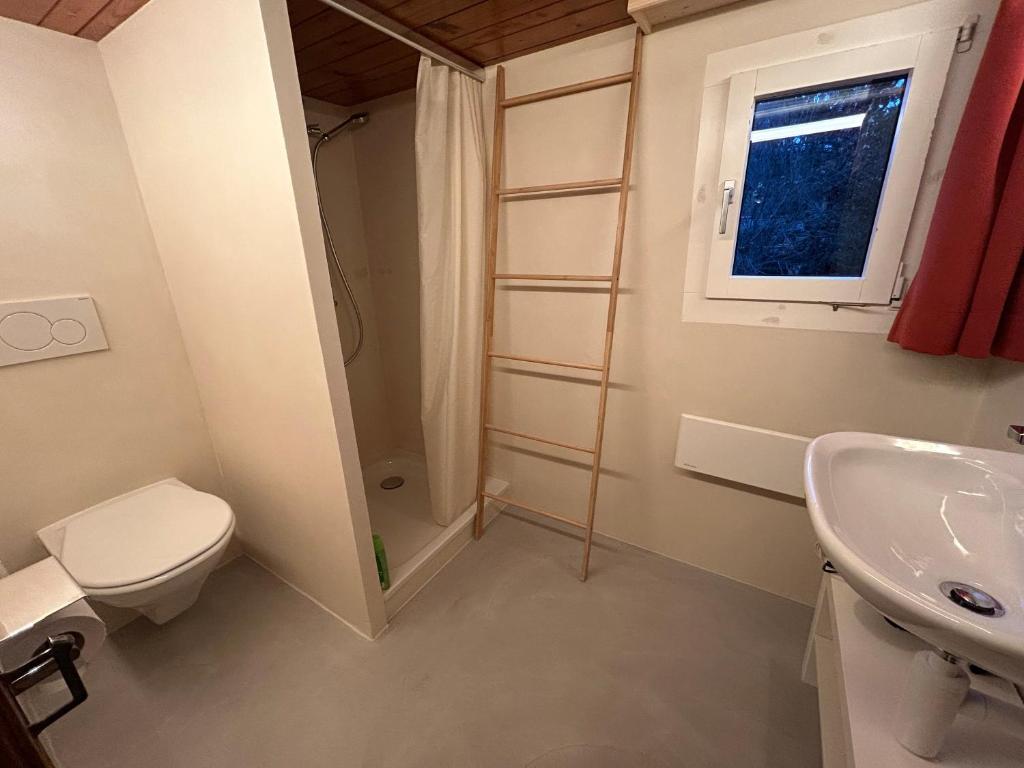 Bilik mandi di Alpenchalet Haldeli Ferienwohnung