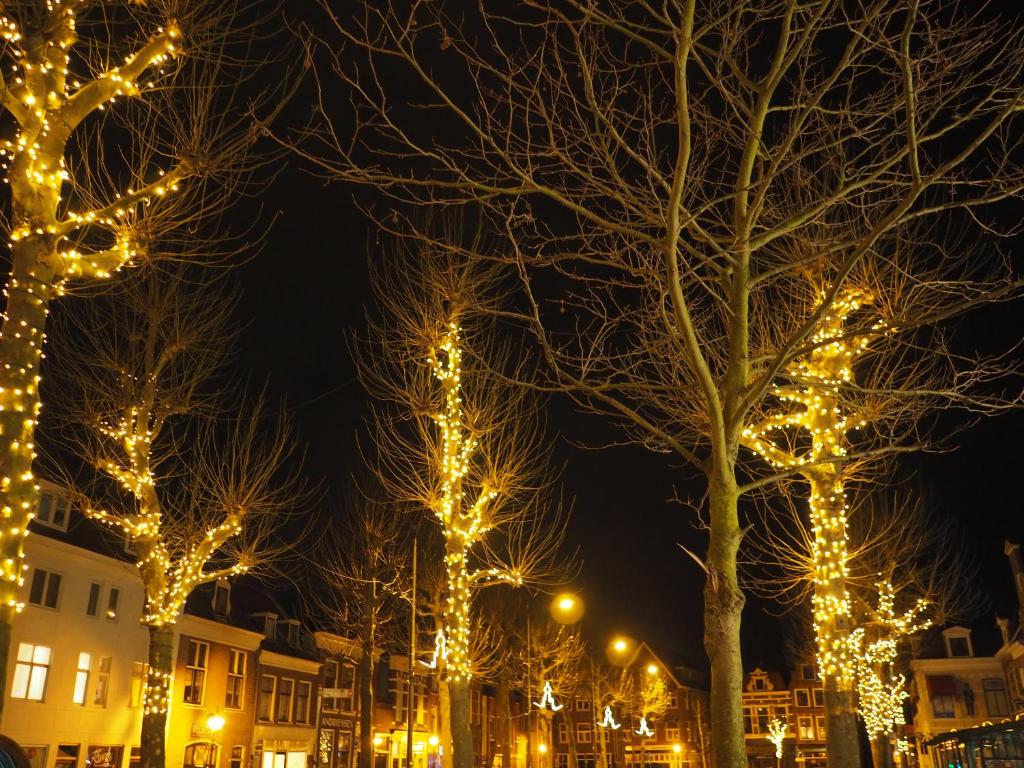 Hotel Carillon - Resim 23