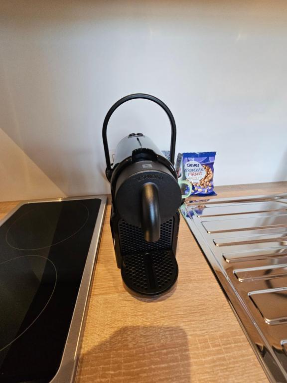 Kuchyň nebo kuchyňský kout v ubytování Günthers Apartments