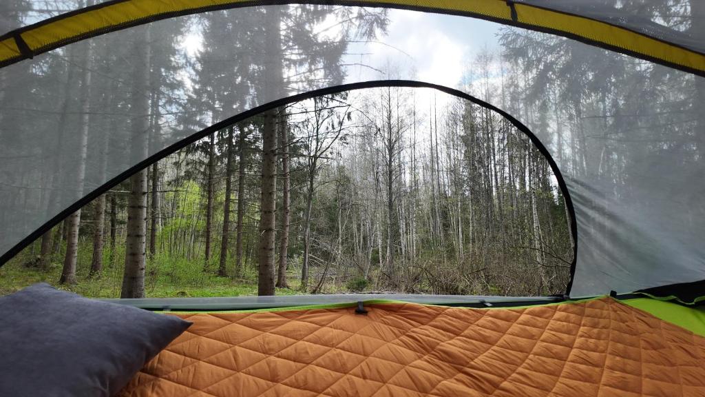 Příroda nedaleko luxury tent