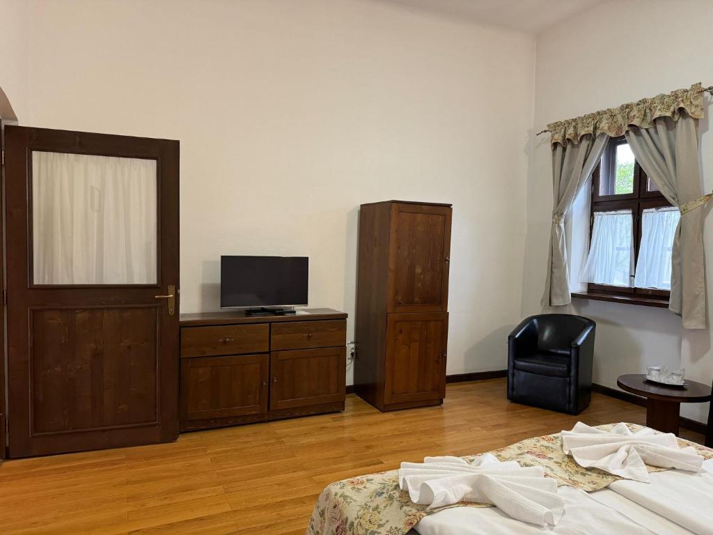 TV a/nebo společenská místnost v ubytování Guesthouse Cetate