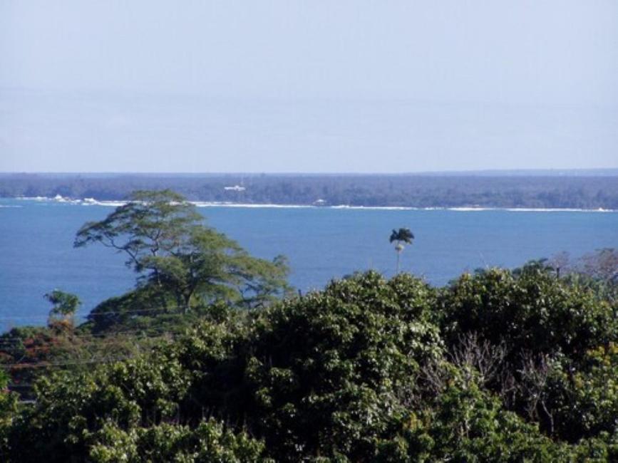 Paesaggio naturale nelle vicinanze dell'affittacamere