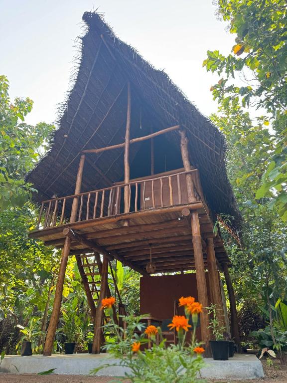 Pidurangala View Treehouse - 5