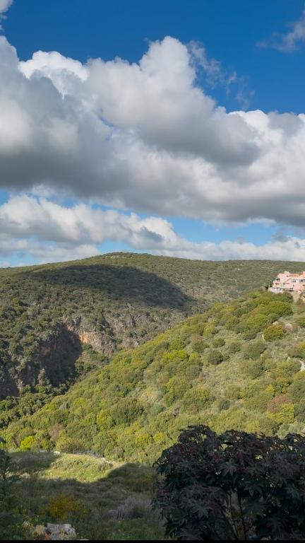 a view of auliculiculiculiculiculiculiculiculiculiculiculic at אירוח באכזיב in Ma'alot Tarshiha