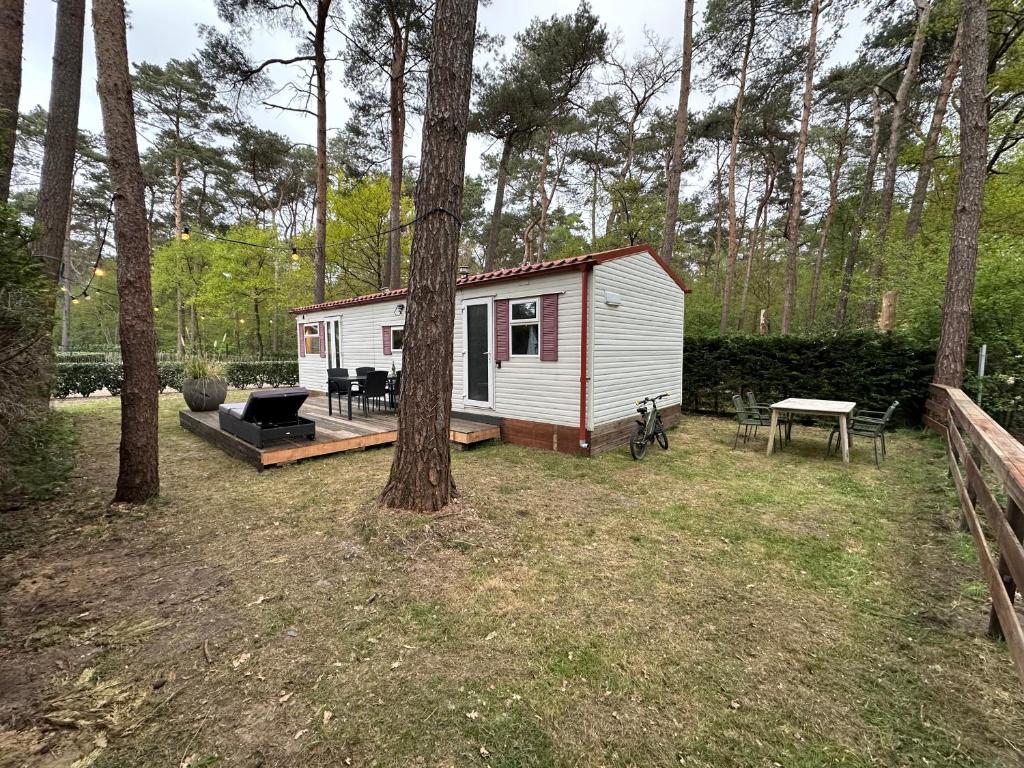 Zahrada ubytování Chalet Tibi