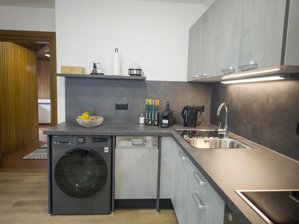 Kuchyň nebo kuchyňský kout v ubytování Wolf Apartments-Spittal
