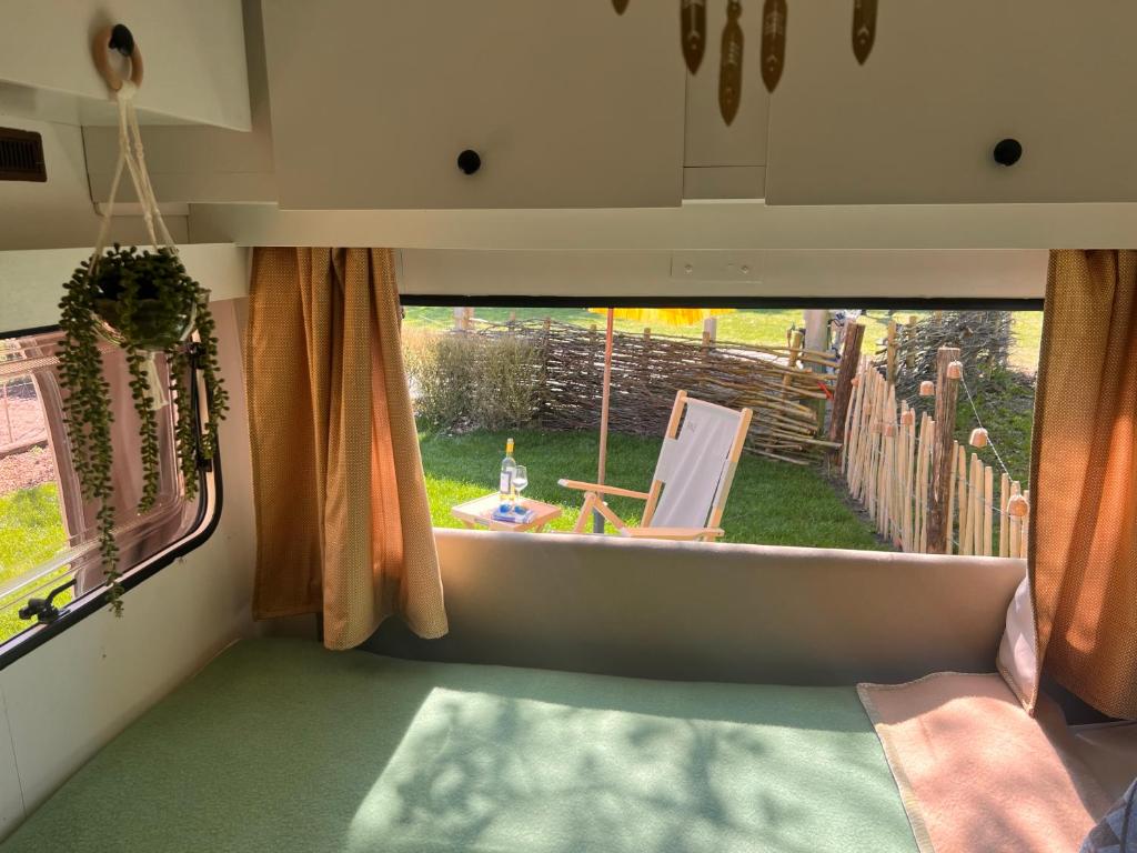 Zahrada ubytování Camping Wijndomein Erve Wisselink