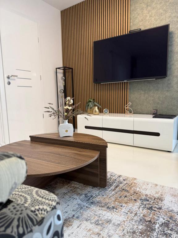 TV a/nebo společenská místnost v ubytování Apartmani Beril Lux