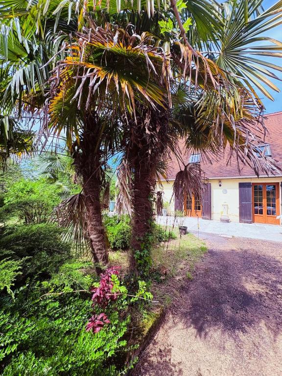 un palmier et des fleurs devant un bâtiment dans l'établissement Maison de Campagne à 2km du centre de SARLAT, à Sarlat-la-Canéda