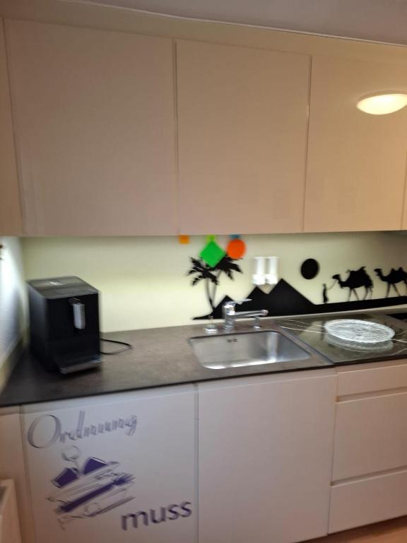 a kitchen with a sink and a counter top at Eidechse in Morschach