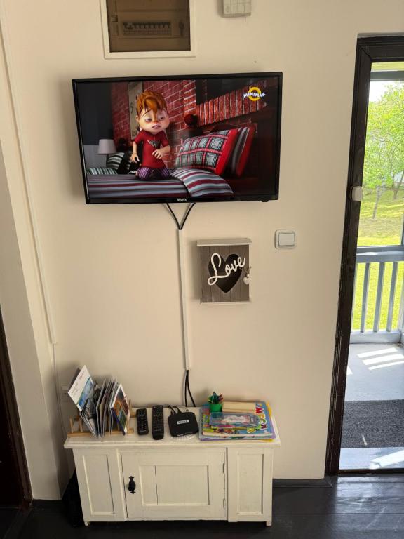 TV a/nebo společenská místnost v ubytování Rustika Koviljača