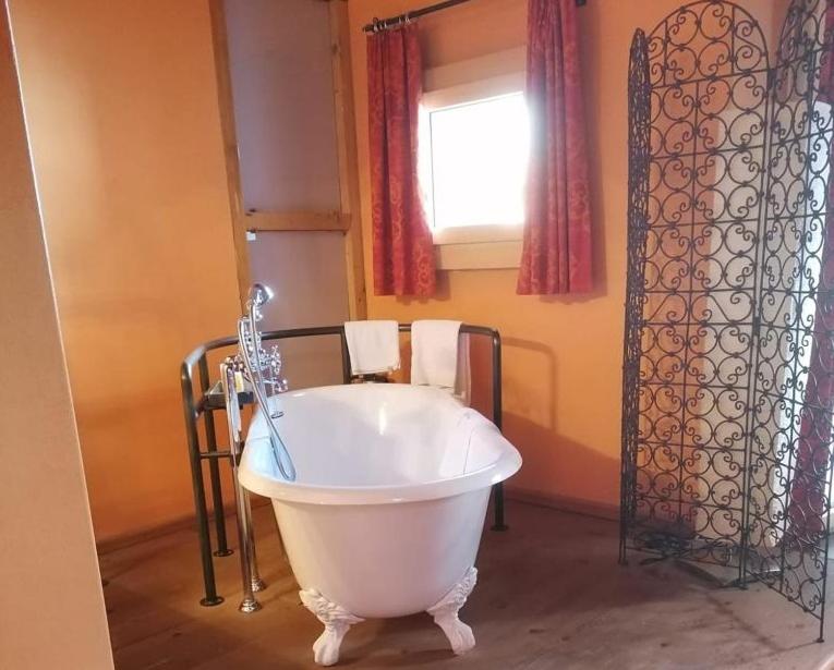 Koupelna v ubytování Albana Hotel Silvaplana