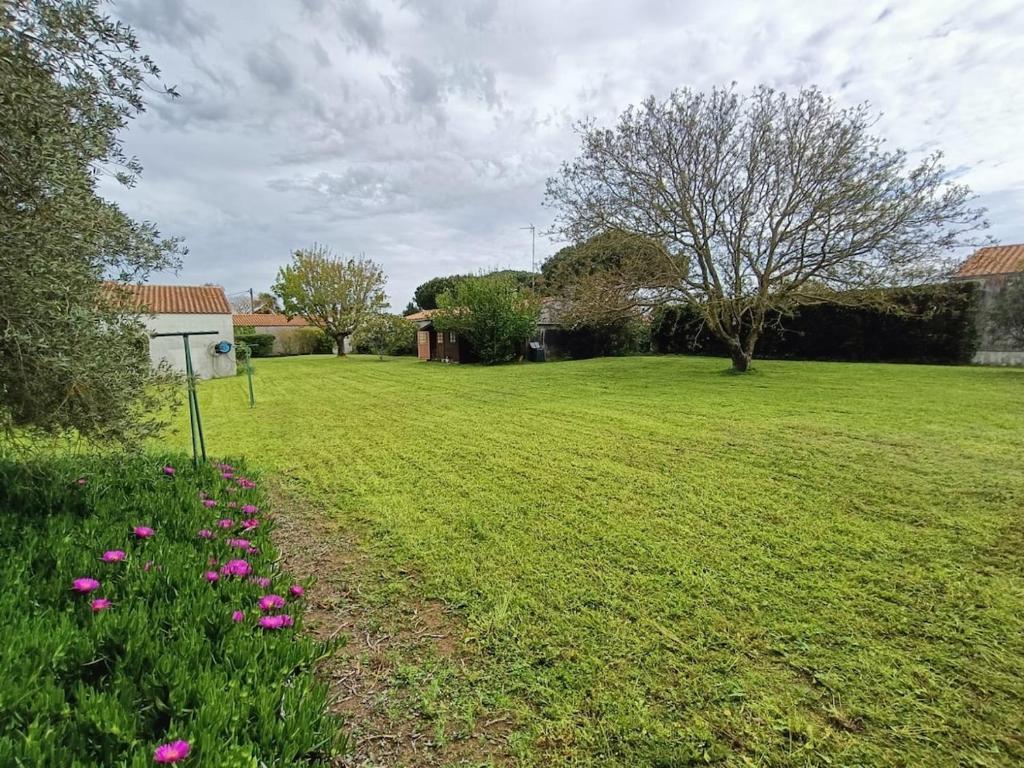 un champ avec des fleurs roses dans l'herbe dans l'établissement Grande maison de vacances, à Saint-Georges-dʼOléron
