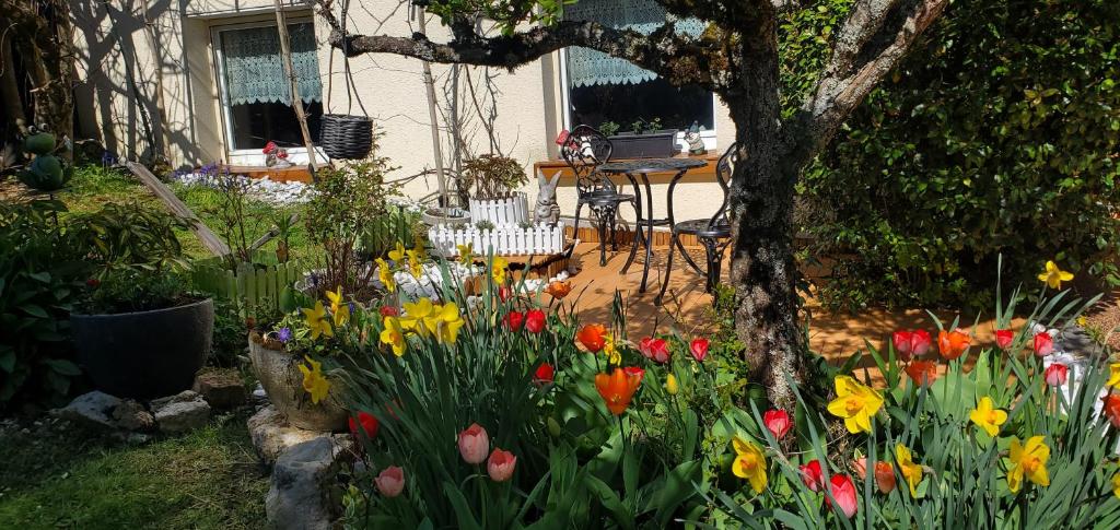 En have udenfor Appartement fonctionnel