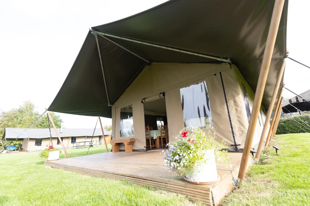 Dawn Chorus Holidays 6