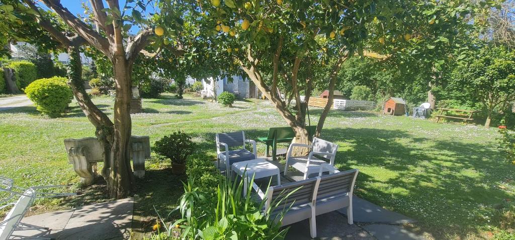 a group of chairs sitting under a tree at Pensión Casa Elena in Reinante