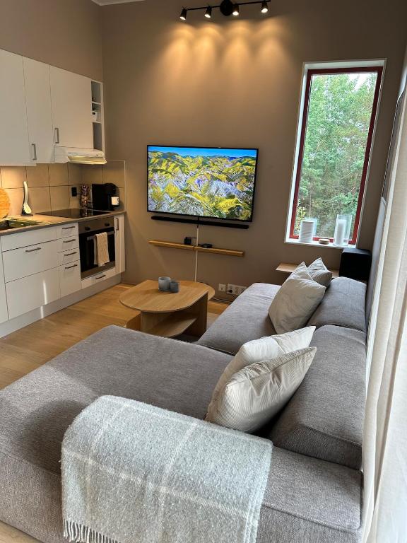 Photo inspiration: Luxury Apartments Bergen Near Fjord Reference: Charming 2 Bedroom Apartment In Bergen Near The Light Rail
