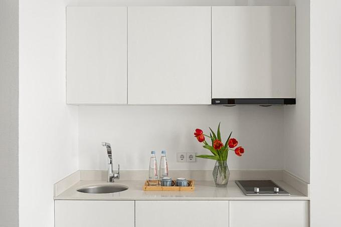 Kuchyň nebo kuchyňský kout v ubytování Mariinsky Boutique Hotel