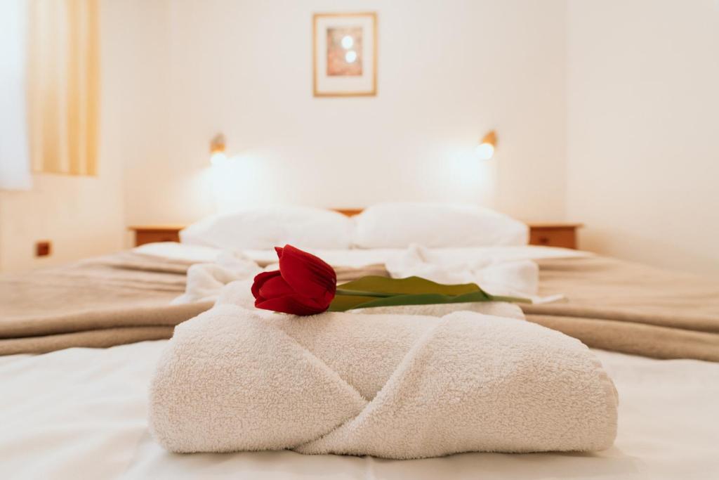 Voodi või voodid majutusasutuse Horský hotel Bartoška toas