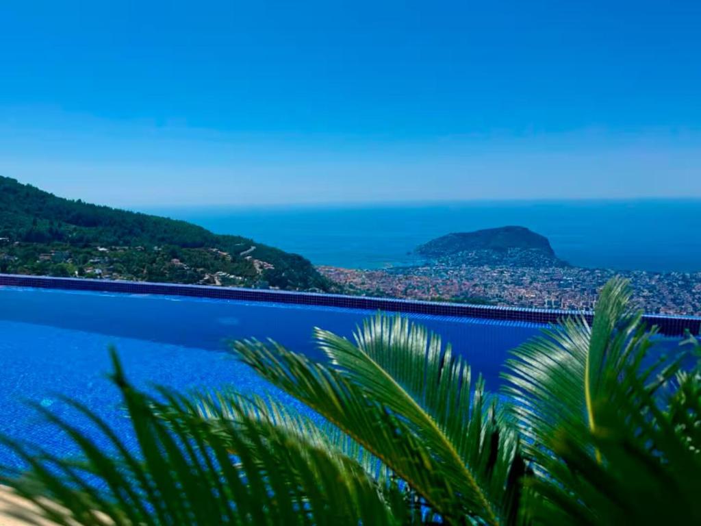 a view of the ocean and a palm tree at Qoople Villa Tepe with infinity pool and panoramic view in Alanya