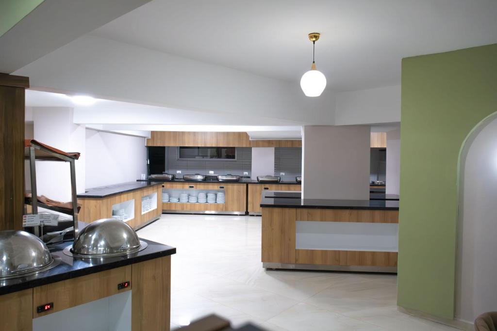 Kuchyň nebo kuchyňský kout v ubytování Acar Hotel