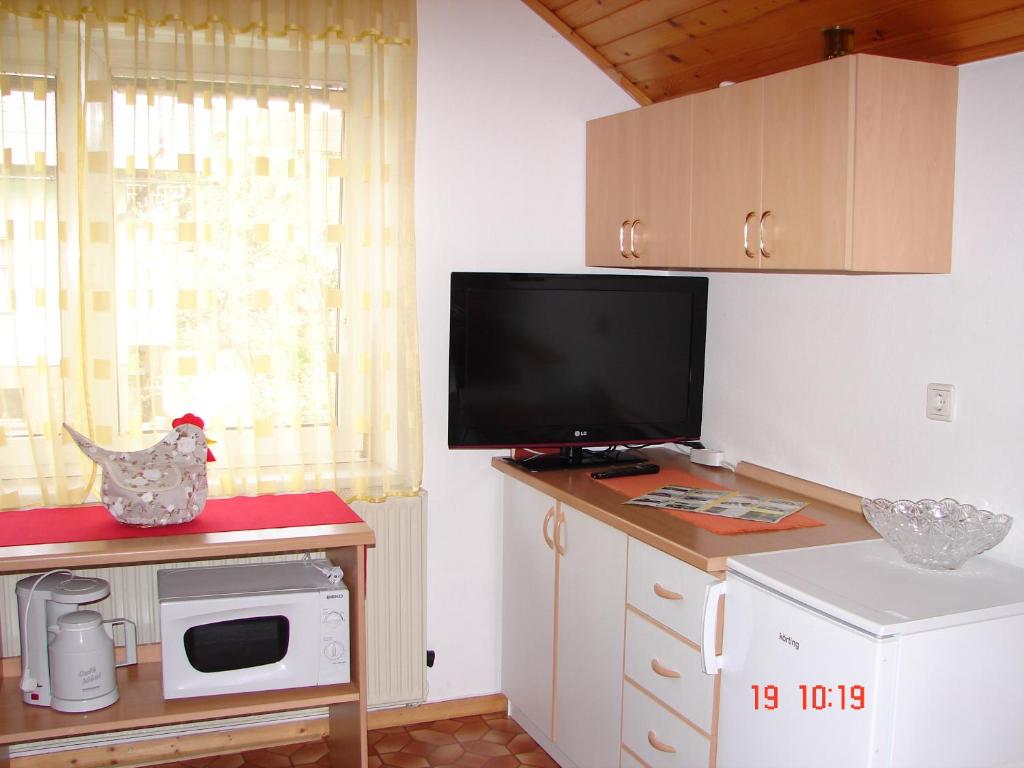 Kuchyň nebo kuchyňský kout v ubytování Apartma Žvan