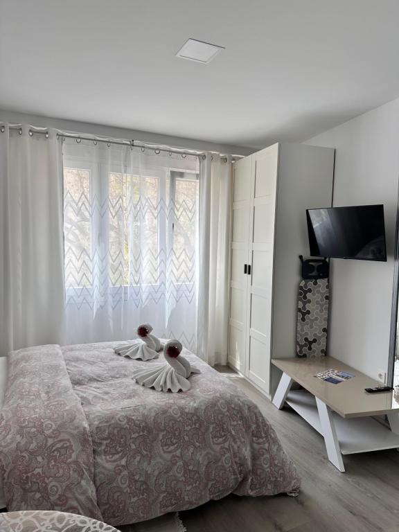 Paraiso de Santa Paula - 14