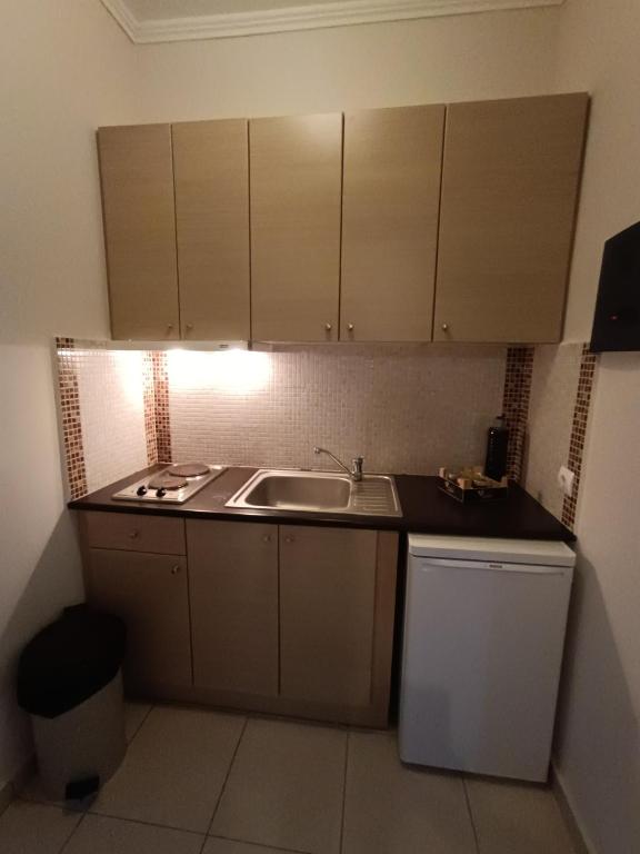 Kuchyň nebo kuchyňský kout v ubytování Pouliezos Koklanis Zante Apartments