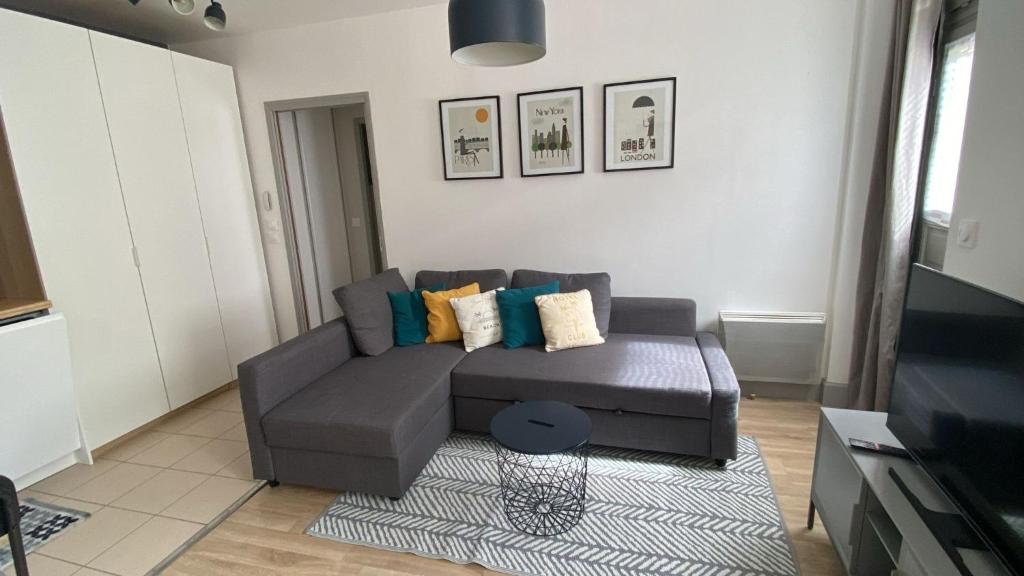 - un salon avec un canapé gris et un tapis dans l'établissement Monge 2 T2 terrasse calme et chaleureux au cœur de Dijon, à Dijon