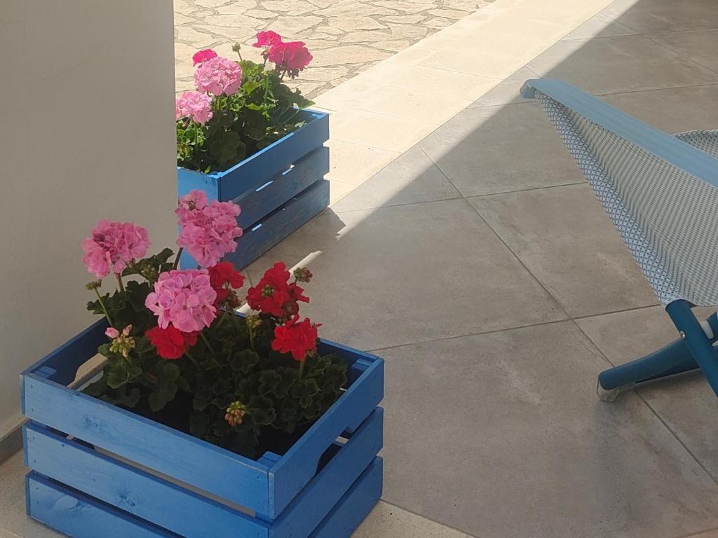 Giardino di 5 elementi