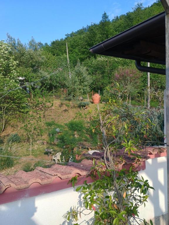 Przyroda w pobliżu tego obiektu B&B