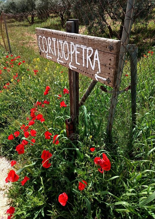 Zahrada ubytování Cortijo Petra