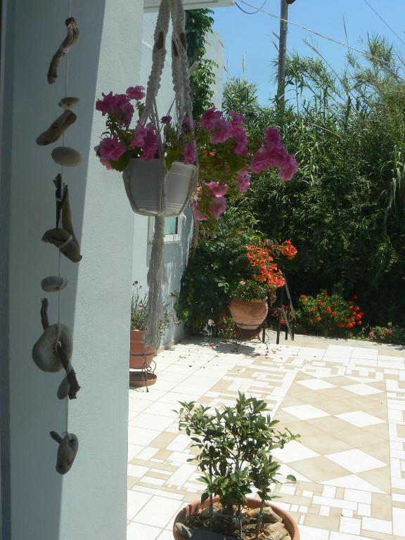 Zahrada ubytování Silvi Mari Apartments