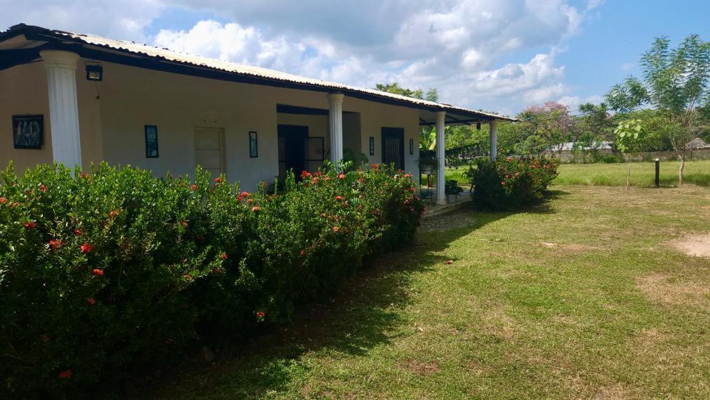 Zahrada ubytování Finca Aura Viva