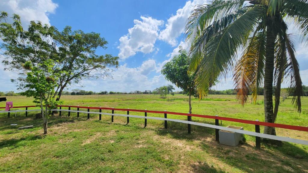 Zahrada ubytování Finca Aura Viva