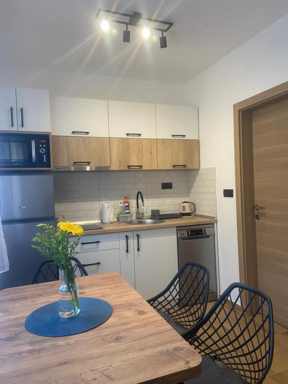 Kuchyň nebo kuchyňský kout v ubytování Apartman Harmonija