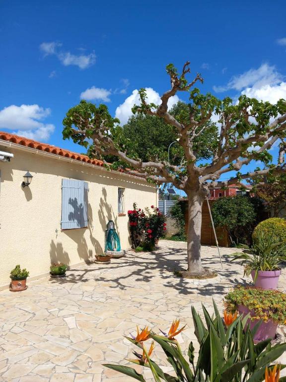 un arbre au milieu d'une cour en pierre dans l'établissement Maison de vacances avec 4 chambres Clim et WiFi, à Claira