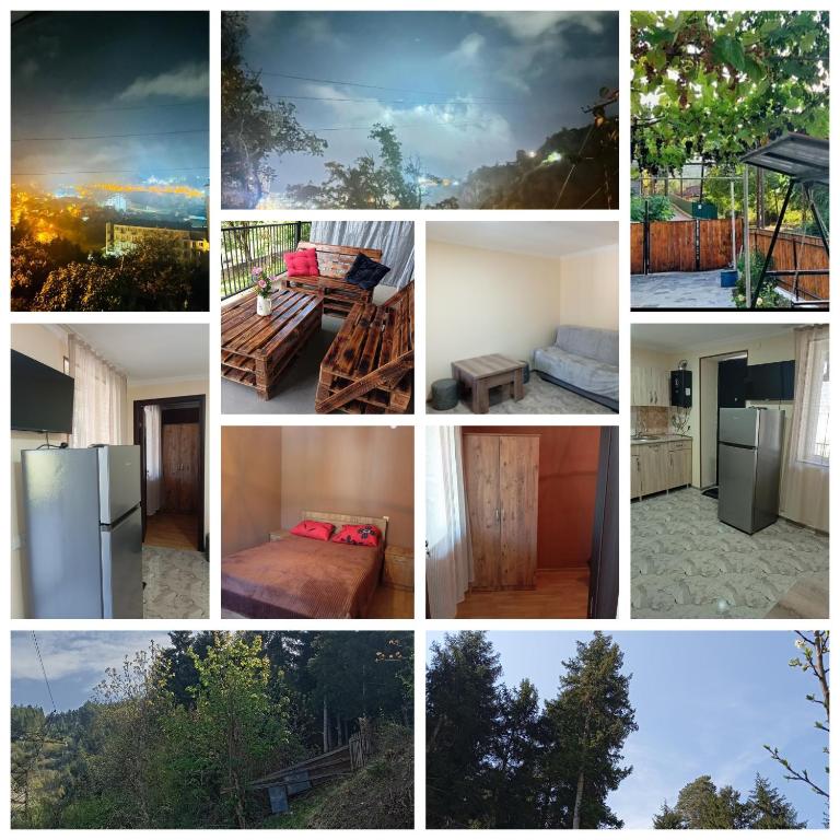 Fotografie z fotogalerie ubytování Borjomi forest v destinaci Bordžomi